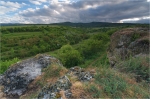 Berntal_bei_Leistadt.JPG