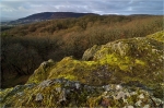 Donnersberg_Felsvegetation.JPG