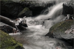 Kaltenbrunner_Bach_018a.JPG