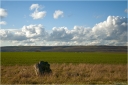 Plateau_bei_Dirmstein.jpg