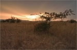 Steppe_020.JPG