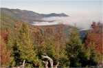 Vosges_1.JPG