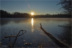 Wehlachweiher_Hassloch.JPG