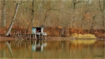 Woerther_Altrhein_019a.JPG
