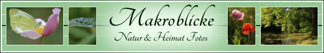 Makroblicke